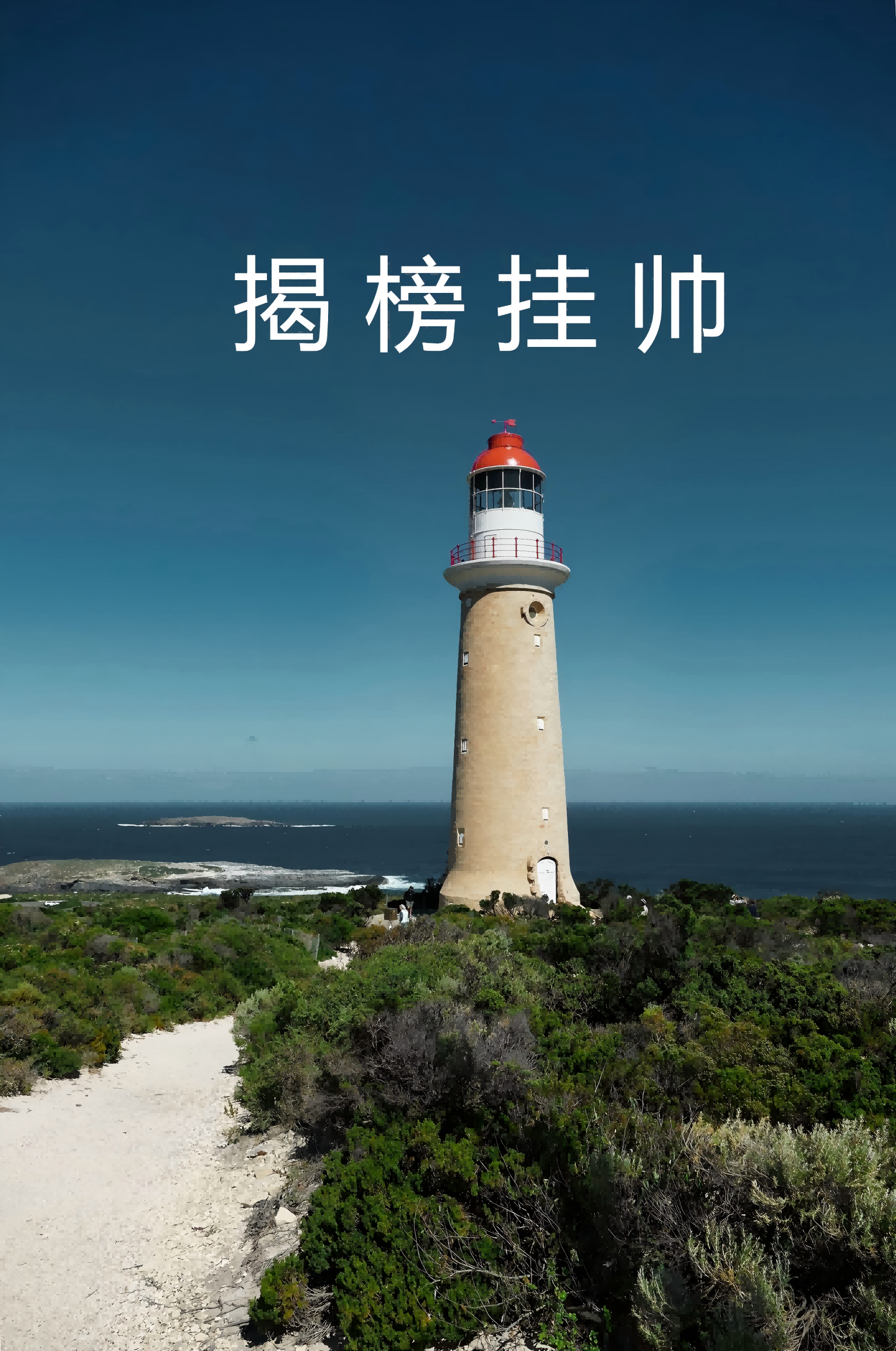揭榜挂帅