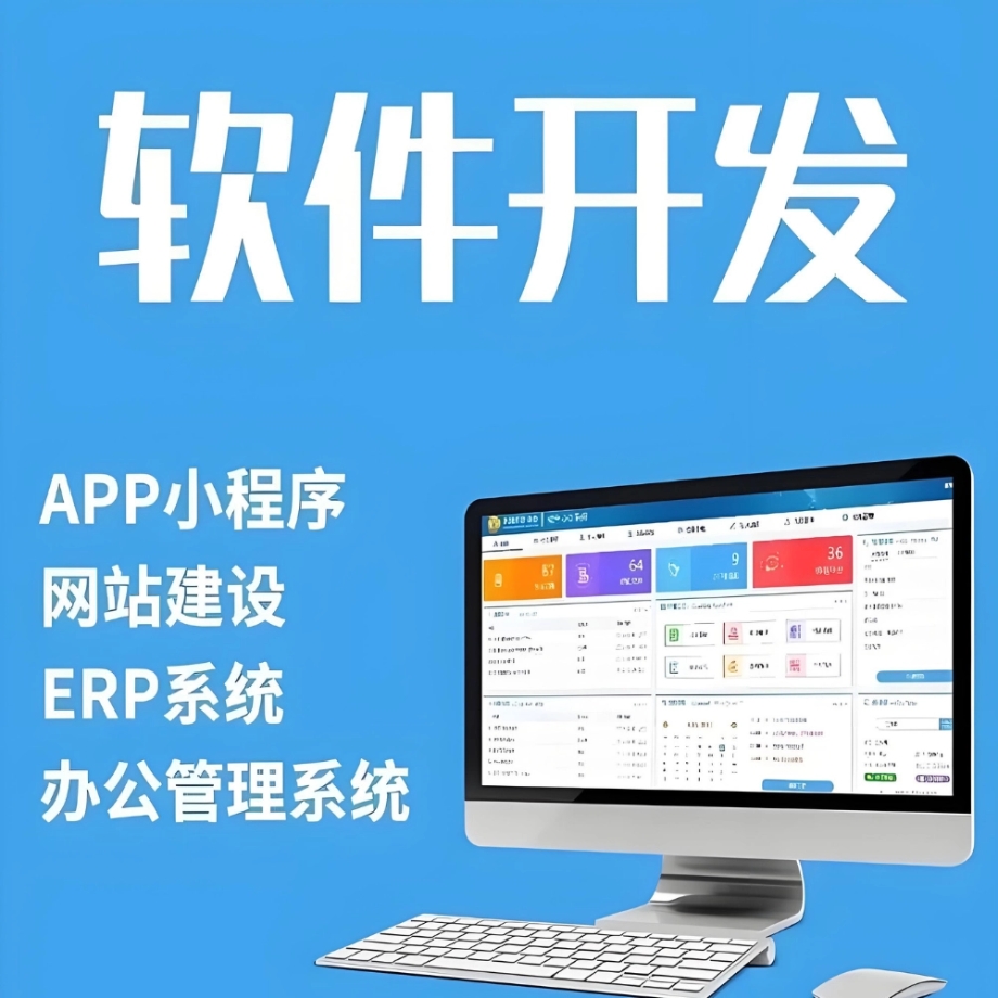 软件开发